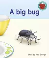 A big bug cover