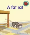 A fat rat cover