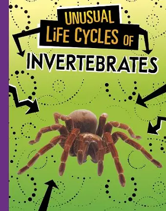 Unusual Life Cycles of Invertebrates cover