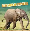 Baby African Elephants cover