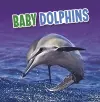 Baby Dolphins cover