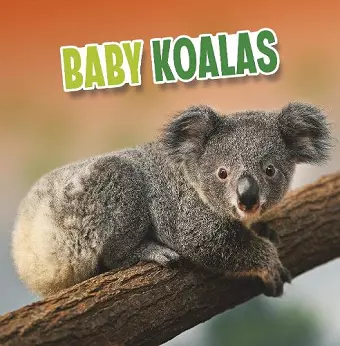 Baby Koalas cover