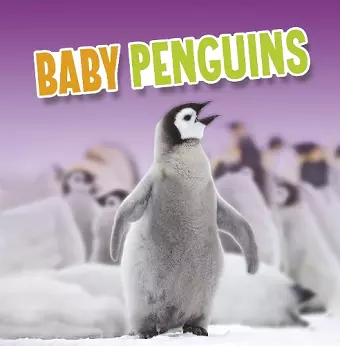 Baby Penguins cover