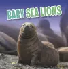 Baby Sea Lions cover