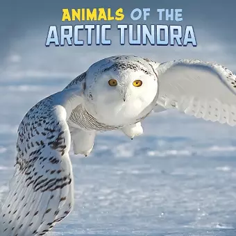 Animals of the Arctic Tundra cover