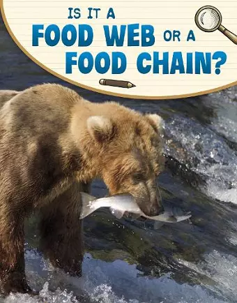 Is It a Food Web or a Food Chain? cover