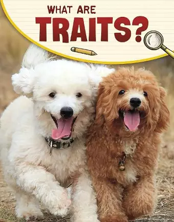 What Are Traits? cover