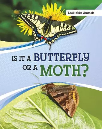 Is It a Butterfly or a Moth? cover