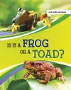 Is It a Frog or a Toad? cover