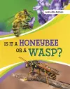 Is It a Honeybee or a Wasp? cover
