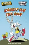 Rabbit on the Run cover