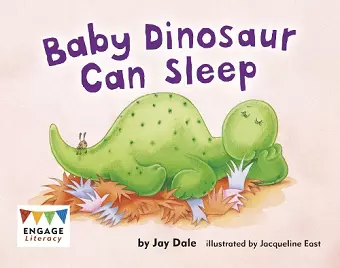 Baby Dinosaur Can Sleep cover