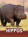 Hippos cover