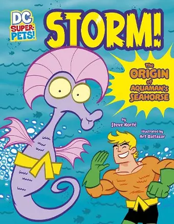 Storm! cover