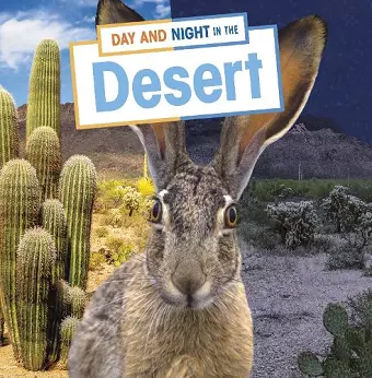 Day and Night in the Desert cover