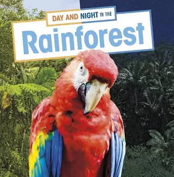 Day and Night in the Rainforest cover