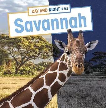 Day and Night in the Savannah cover