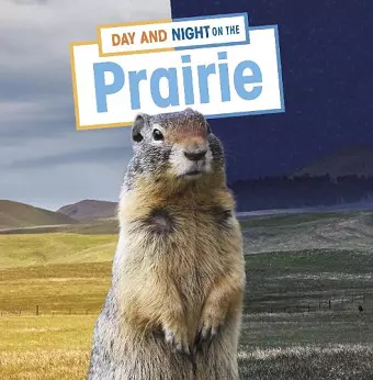 Day and Night on the Prairie cover