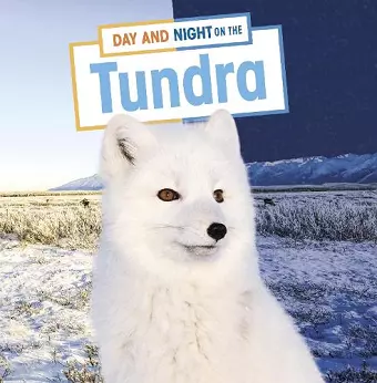 Day and Night on the Tundra cover