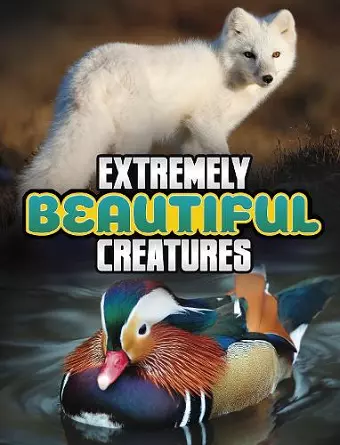 Extremely Beautiful Creatures cover