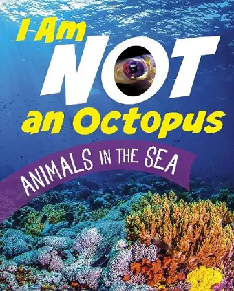 I Am Not an Octopus cover