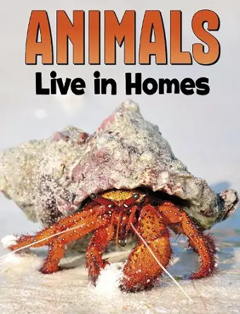 Animals Live in Homes cover