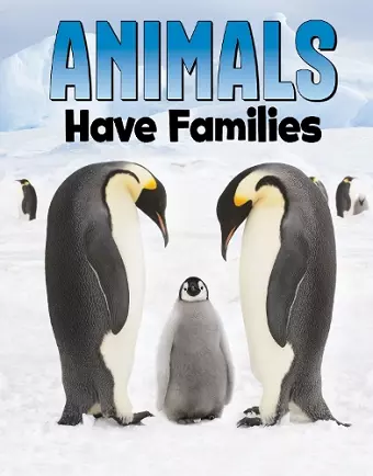 Animals Have Families cover