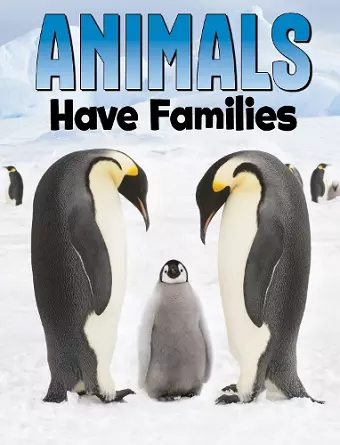 Animals Have Families cover