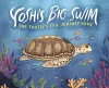Yoshi's Big Swim cover