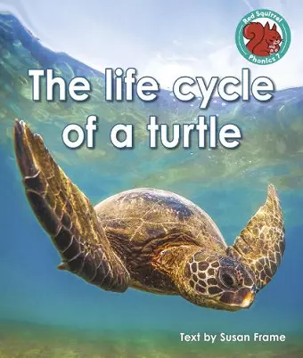 The life cycle of a turtle cover