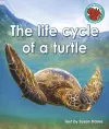 The life cycle of a turtle cover