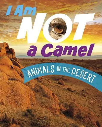 I Am Not a Camel cover