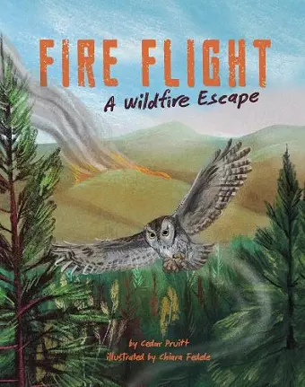 Fire Flight cover