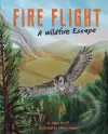 Fire Flight cover