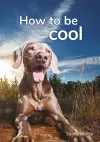 How to be cool cover