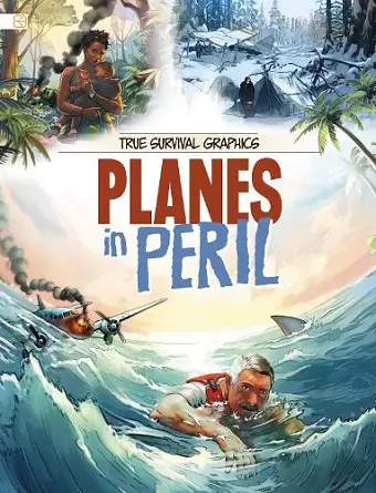 Planes in Peril cover