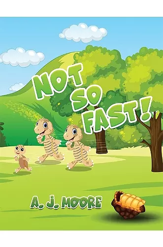 Not So Fast! cover