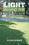 Light Behind the Shadows cover