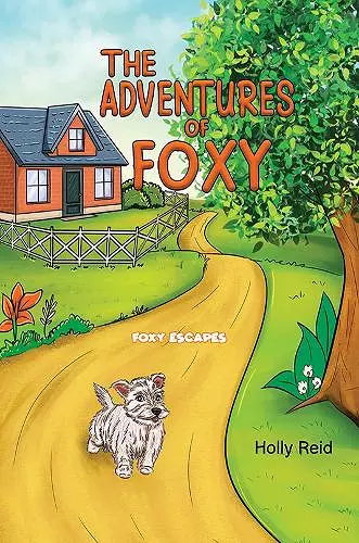 The Adventures of Foxy cover