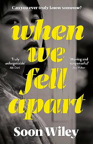 When We Fell Apart cover