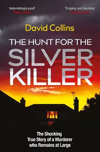 The Hunt for the Silver Killer cover