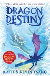 Dragon Destiny packaging