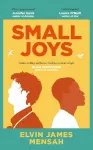 Small Joys cover
