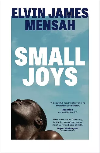 Small Joys cover