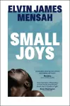 Small Joys cover