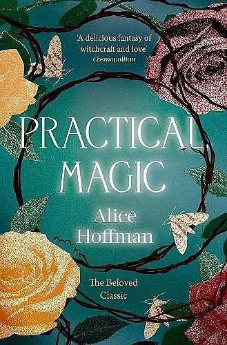 Practical Magic cover
