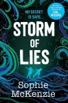 Storm of Lies cover