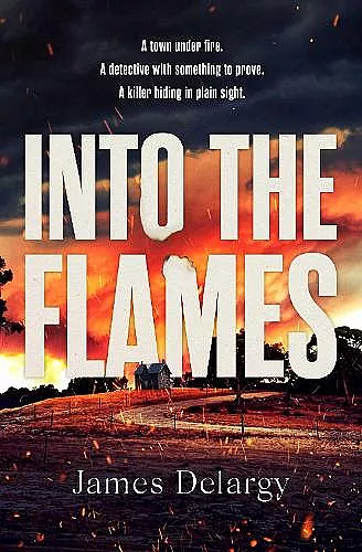 Into the Flames cover