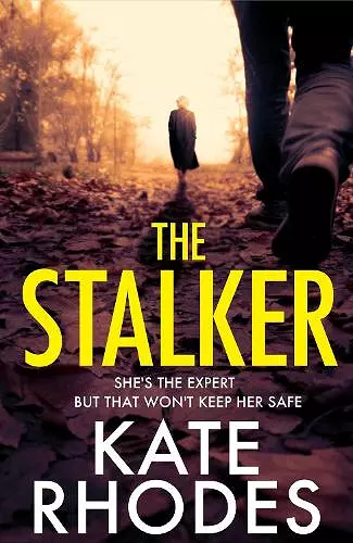 The Stalker cover