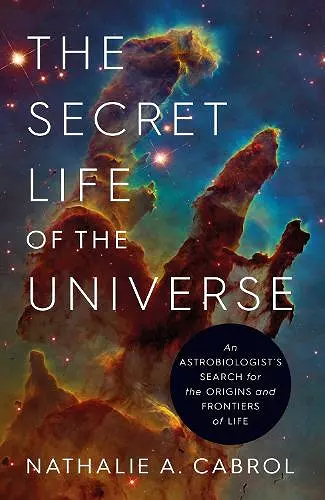 The Secret Life of the Universe cover